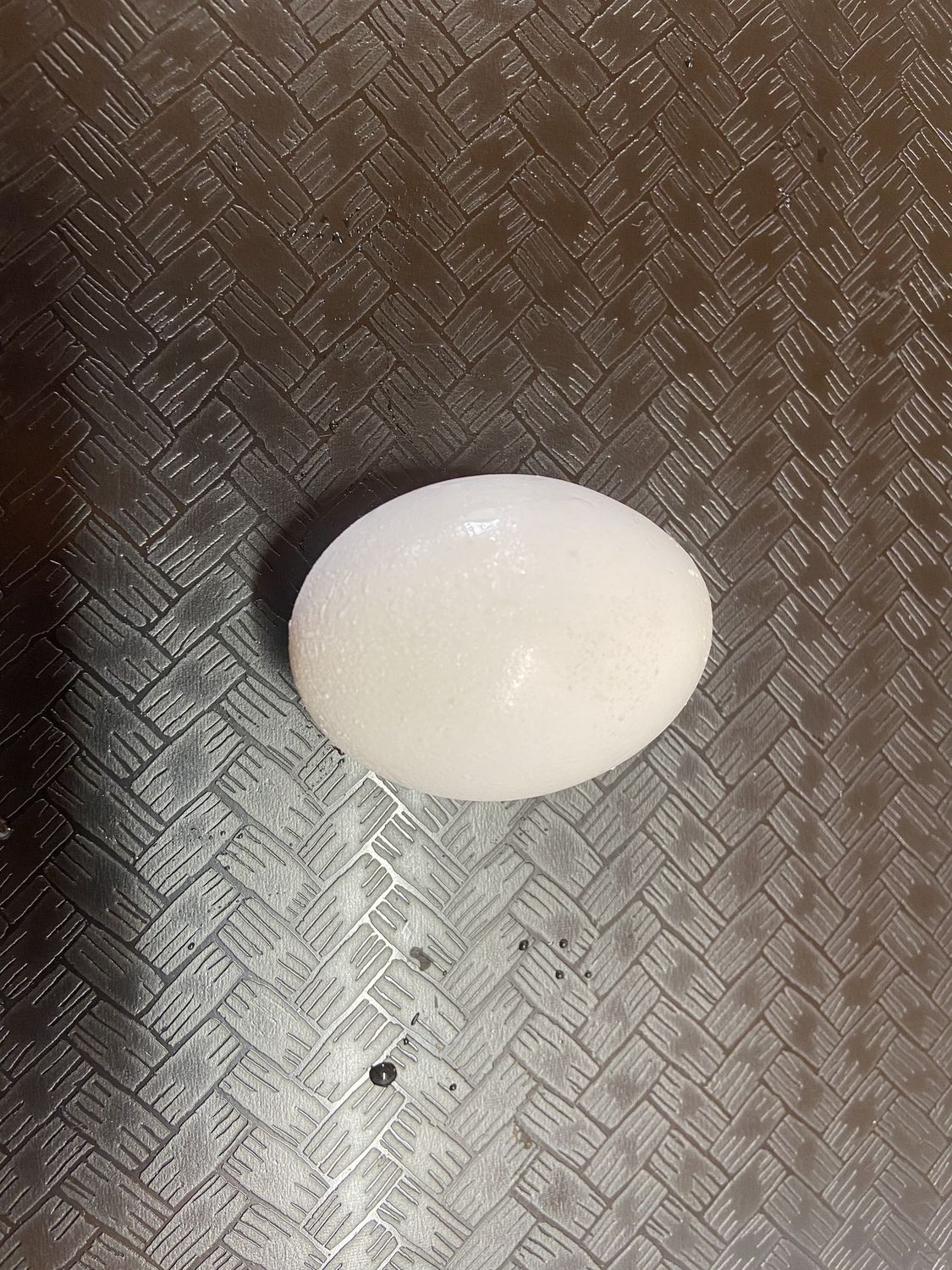 Oeuf